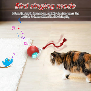 Interactive Cat Toy Ball Super Drive Cat Rolling Balls with Bird Chirping Motion Activated Sensor Pet Kitten Teaser Game Toys