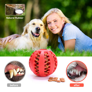 Pet Dog Toy Interactive Rubber Balls