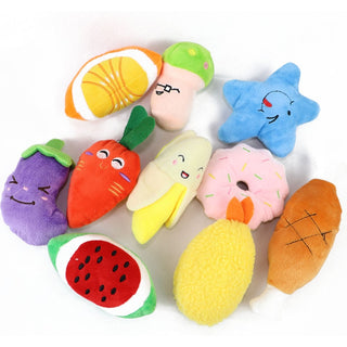 Dog Squeaky Toys