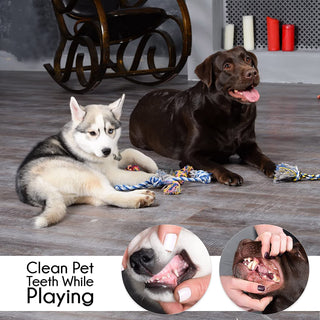 Pet Dog Chew Toys