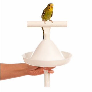 Parrot Stand