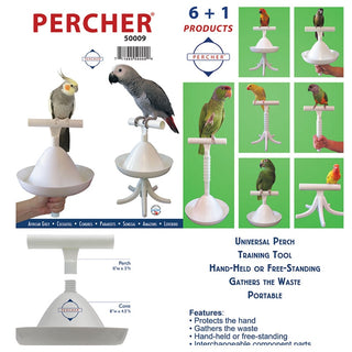 Parrot Stand