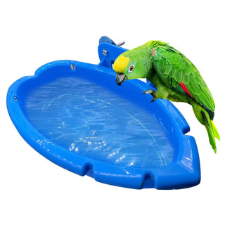 Bird Baths Tub