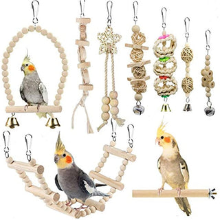 Bird Parrot Swing