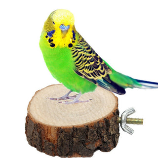 Round Wooden Squirrel Parrot Bird Perch Stand