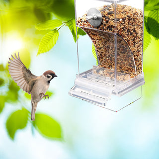 Automatic Parrot Feeder