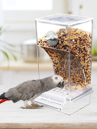 Automatic Parrot Feeder