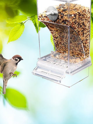 Automatic Parrot Feeder