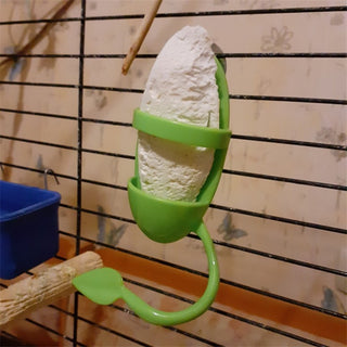 Pet Parrot Feeder