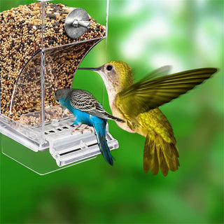 Automatic Parrot Feeder