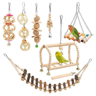 Bird Parrot Swing