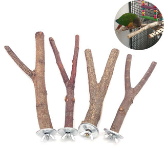 Natural Wood Pet Parrot Raw Wood Fork