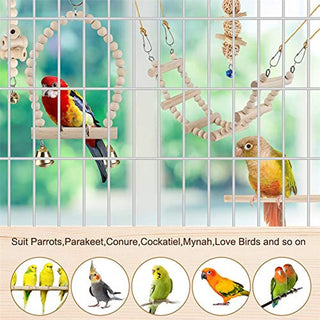 Bird Parrot Swing