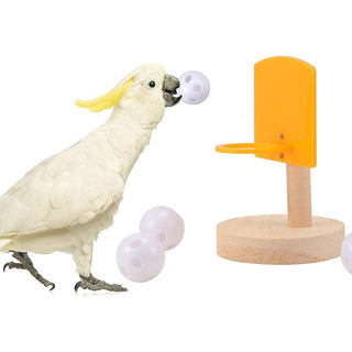 Bird Parrot Training Toys Set