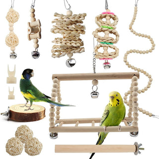 Bird Parrot Swing