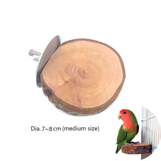 Natural Wood Pet Parrot Raw Wood Fork