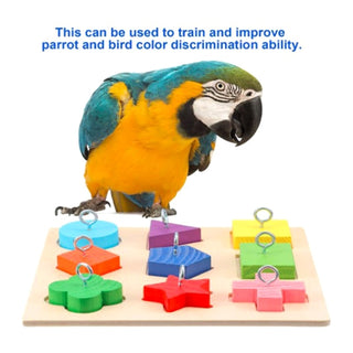 Bird Parrot Training Toys Set