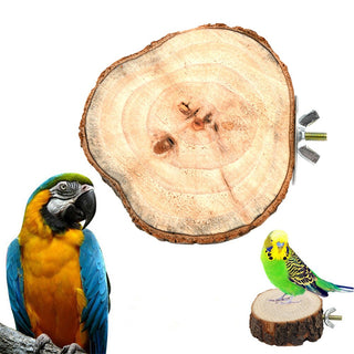 Round Wooden Squirrel Parrot Bird Perch Stand