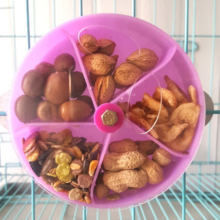 Parrot Nibbling Toys