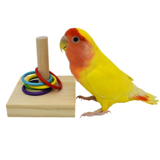 Bird Training Toys Set