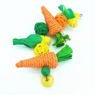 Small Pet Carrot Toy