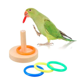 Bird Parrot Training Toys Set