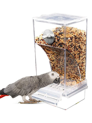 Automatic Parrot Feeder