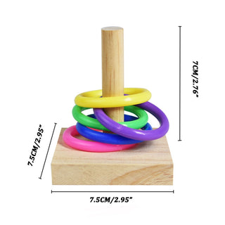 Bird Training Toys Set