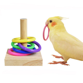 Bird Training Toys Set