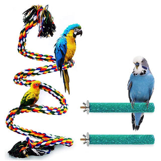 Bird Parrot Swing