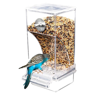 Automatic Parrot Feeder